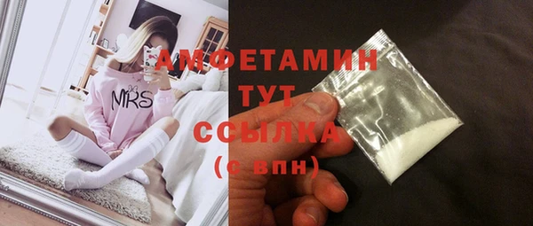 индика Нефтегорск
