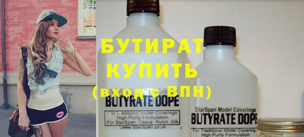 индика Алексин