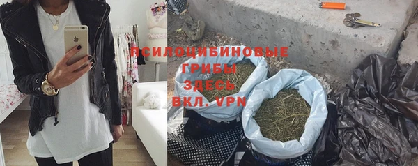 спиды Алзамай