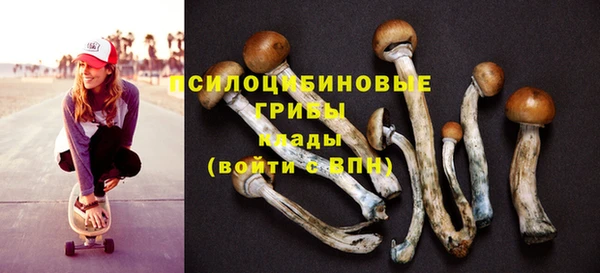 индика Алексин
