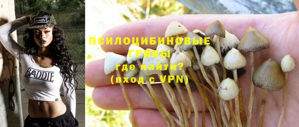 индика Алексин