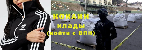 индика Алексин